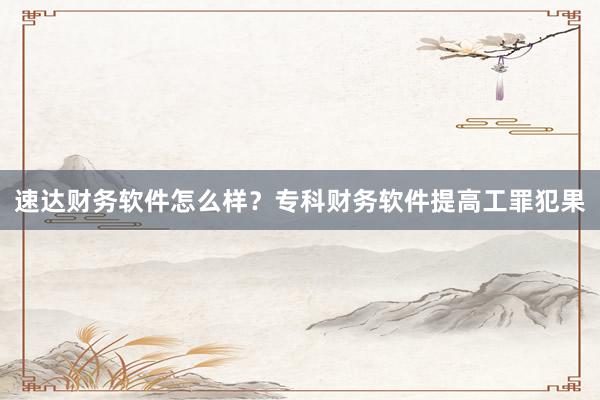 速达财务软件怎么样？专科财务软件提高工罪犯果