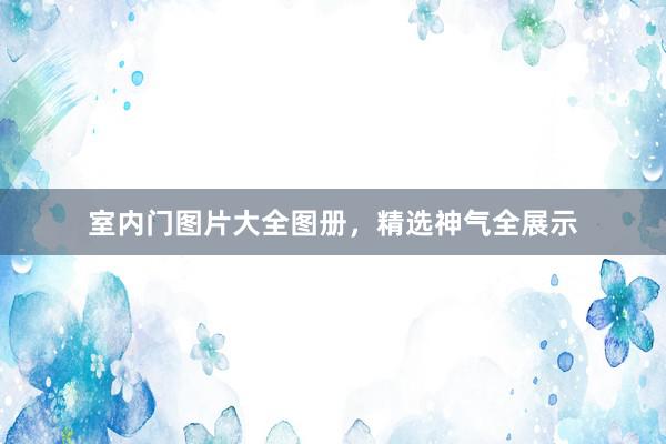 室内门图片大全图册，精选神气全展示