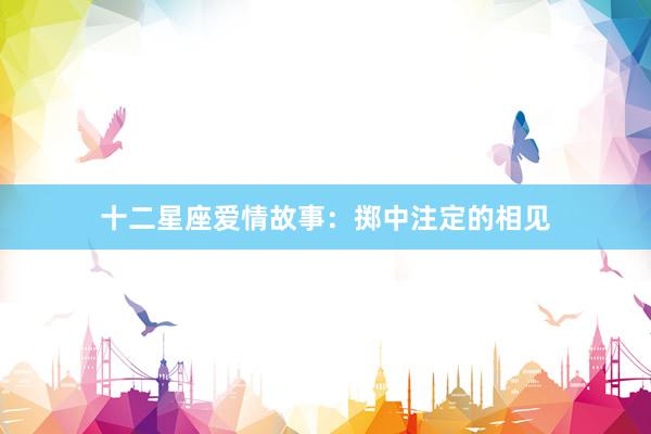 十二星座爱情故事：掷中注定的相见