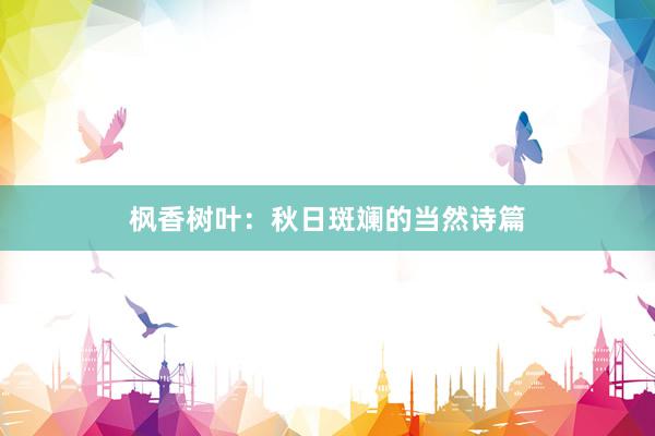枫香树叶：秋日斑斓的当然诗篇